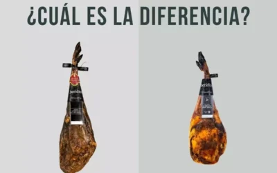 Diferencias entre Jamón y Paleta