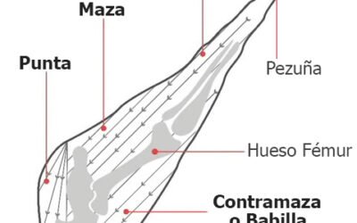 Partes del Jamón