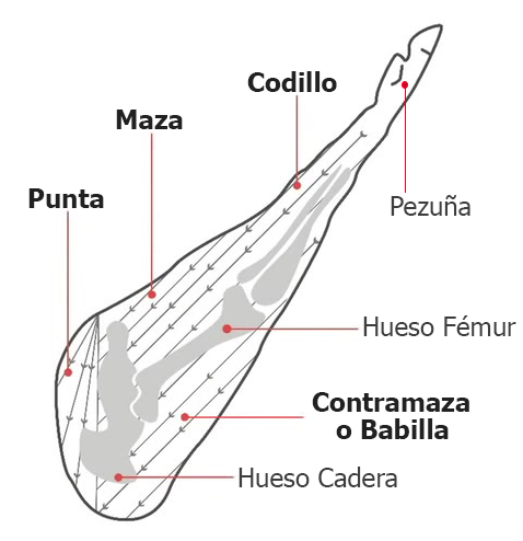partes jamon