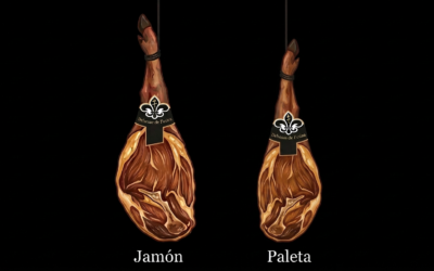 Diferencias entre Jamón y Paleta